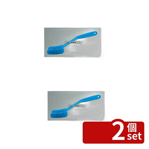 �y2�Z�b�g�z���@�C�J�� �f�B�b�V���u���V �\�t�g�^�C�v 42873 �u���[ 25×275 �u���V No.3599000