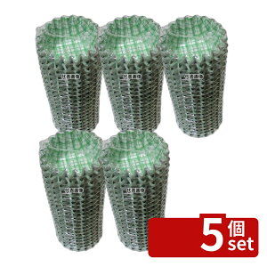�y5�Z�b�g�z�A�d�~�Y�� �R�R�E�P�[�X (500����) �ی^ 8���[ �� H31 �t�B�����P�[�X No.5754710