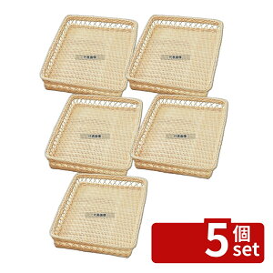 �y5�Z�b�g�z���S�R�[�g �ِ� �p���J�S Y-10-N 300×460×60 300×460×H60 �f�B�X�v���C�p�i No.8524000