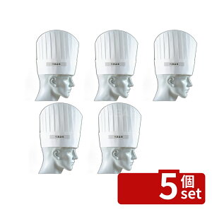 �y5�Z�b�g�z�p���X�n�b�g (10����) PH-115NT ���^ 25cm 250 No.8672900