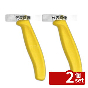 �y2�Z�b�g�z�r�N�g���m�b�N�X �X�C�X�N���V�b�N �O�����i�C�tYL 12cm FC�C�G���[ 6.7936.12L8E �S��:233 ���� No.6918240