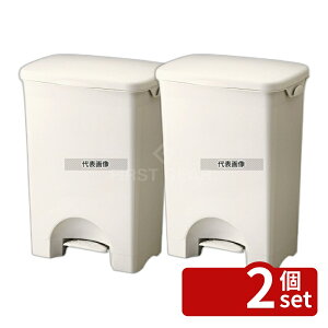 �y2�Z�b�g�zRISU(���X) H&H ���C�h�y�_���y�[�� 15PS 15L 338×260×H400mm ���|/�q���p�i No.7164400