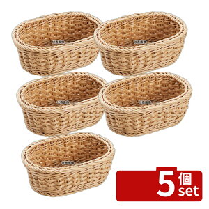 �y5�Z�b�g�z�V���h�[ �R�ێ��� �����^�o�X�P�b�g DS105 21�^ �i�`������ 210×155×H70 �f�B�X�v���C�p�i No.7703780