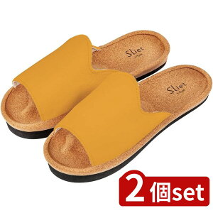 2set At@bNX XGbg Y-Type }X^[h | Xbp g[jO T_ ̊ N }X^[h XGbg p   V[Y fB[X  ̊ObY NXb