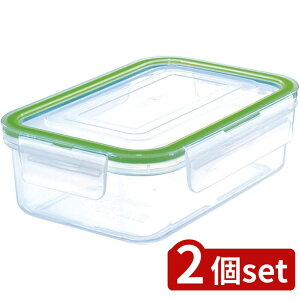 2個set アスベル ユニックスタイトロックWLO-30・AG | タイトロック ユニックス 保存容器 冷凍 容器 密封 アスベル 抗菌 食品保存 パッキン ロック容器 レンジ対応 耐熱 お手入れ簡単 キッチン