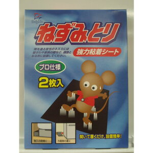 _r[TL^ۑPiY ͂˂ݎ [Pie/2] | lY~쏜 lY~ ͔SV[g O SV[g 쏜V[g ˂ݕ߂ ˂݃gbv qɗp V[g^C