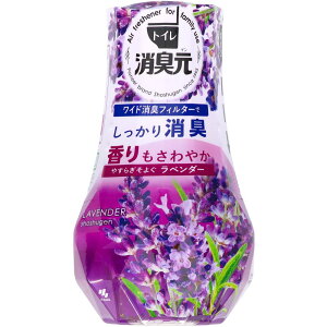 _r[TL^ѐ gC̏L ₷炬悮x_[ [Pie/400ml] | gCL  x_[ ѐ L F pi gCpi A} tOX 