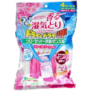 A[X hC&hCUP N[[bgEm_Xp t[u[P̍ [Pie/4] | A[X N[[bg L hC&hCUP t[u[P ߗޕۊ [L 