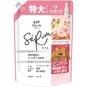 P&G mAZbgZzCgs[`&J~[̍߂pTCY [Pie/750ml] | mA Zbg _ zCgs[` J~[ lߑւ   L ߗ 