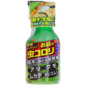 A[X A[XK[f ̃R Xv[^Cv [Pie/1000ml] | A[XK[f Xv[ A[X |p  ^Cv Op Xv[^Cv ؗp { ֗O