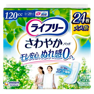 jE`[ Ct[₩pbgłSp [Pie/24] | Ct[ ₩pbh z ARpbh jp p łS ʂꊴ[ Xs[hCV