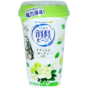 _r[TL^jE`[ LgC܂Lr[YK[f [Pie/450ml] | L LgC  r[Y j`[ Lp gC̍L i`K[f Lpi 