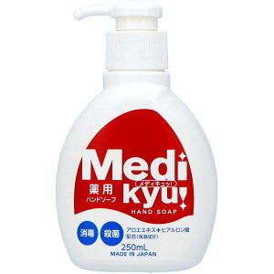 PbgΌ pnh\[vfBLb{ [Pie/250ml] | GIA nh\[v fBLb pnh\[v 򕔊Oi Eې  pi w  { 