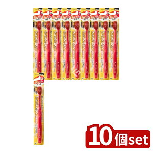 _r[TL^y10Zbgz GrX B-3601M v~APAnuVE6񃌃M[ ӂ [Pie/1{] | GrX v~APA nuV 6񃌃M[ uV L ^wb