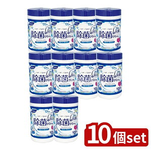 y10Zbgz Life-do.Plus t@C AR[ۃEFbgeBbV {g [Pie/100] | Ct AR[ EFbgeBbV EFbg{g ʂeBbV @ 