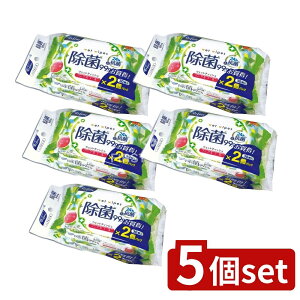 �_���r���[���T�L�^�y5�Z�b�g�z Life-do.Plus ���t�@�C�� �m���A���R�[�����ۃE�F�b�g�e�B�b�V�� ���ł��� 30��×2�p�b�N [�P�i���e��/60��] | �E�F�b�g�e�B�b�V�� ���� ���t�@�C�� �m���A��