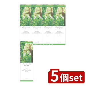 y5Zbgz ACXϕi pR nhN[ [Pie/50g] | ACX nhN[ pR GhK[f 蔧 Ƃ X[XpE_[  ϕi { 