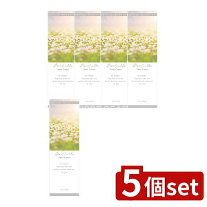 y5Zbgz ACXϕi pR nhN[ [Pie/50g] | ACX nhN[ pR zCgubT  XLPA ێ 蔧 ϕi { ei 