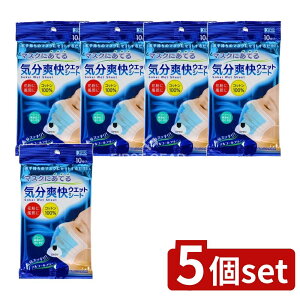 y5Zbgz R[[ }XNɂĂCuEGbgV[g [Pie/10] | }XN EGbgV[g R[[ Cu }XNpV[g { ȒPZbg EFbgeBbV