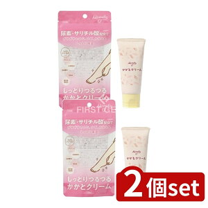 _r[TL^y2Zbgz RXXe[V MamollyƃN[ [Pie/60g] | ƃN[ RXXe[V Mamolly }[ ێN[ Afz T`_ qA