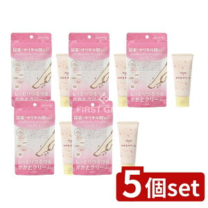 _r[TL^y5Zbgz RXXe[V MamollyƃN[ [Pie/60g] | ƃN[ RXXe[V Mamolly }[ ێN[ Afz T`_ qA