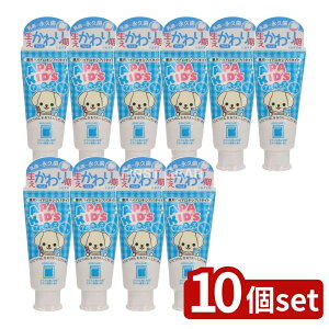 y10Zbgz TM ApK[hApLbY [Pie/60g] | ApK[h ApLbY  ǂp f^PA I[PA pnChLVAp^Cg oq ~l