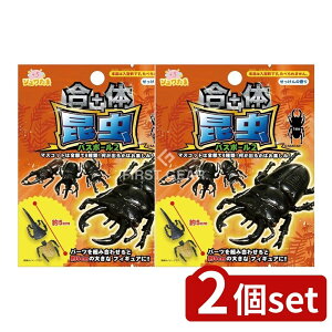 y2Zbgz T^ ̍oX{[2 [Pie/80g] | ̍ oX{[ C    LN^[ tBMA  q 킢 }XRbg  Mtg 