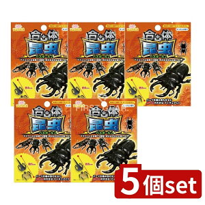 y5Zbgz T^ ̍oX{[2 [Pie/80g] | ̍ oX{[ C    LN^[ tBMA  q 킢 }XRbg  Mtg 