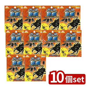 y10Zbgz T^ ̍oX{[2 [Pie/80g] | ̍ oX{[ C    LN^[ tBMA  q 킢 }XRbg  Mtg