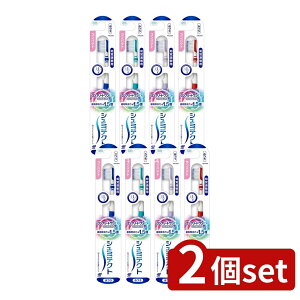 _r[TL^y2Zbgz Haleon V~eNg Rv[gEXv~AnuV RpNg(ӂ) [Pie/1{] | V~eNg nuV v~AnuV Rv[