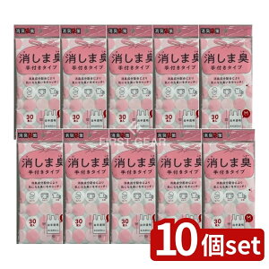 y10Zbgz WpbNX STK12L܍܏LtM [Pie/30] | LȂL LIcS~ LgC s U G`Pbg }i[ lC  舵 Ԃ 