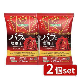 y2Zbgz nC|lbNX uAgK[f o̔|{y [Pie/10L] | nC|lbNX o |{y KN̓y uAgK[f opy {Y yǍ |py 