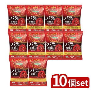 y10Zbgz nC|lbNX uAgK[f o̔|{y [Pie/10L] | nC|lbNX o |{y KN̓y uAgK[f opy {Y yǍ |py 