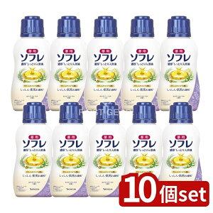 _r[TL^y10Zbgz oXN p\t ZƂt zCgt[̍ [Pie/480ml] | p\t t Z  oX~N zCgt[