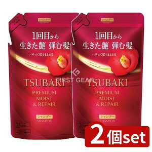 _r[TL^y2Zbgz t@CgDfC TSUBAKI v~A CXg&yA Vv[ ߂p [Pie/300ml] | t@CgDfC TUBAKI Vv[ v~A ΂ 