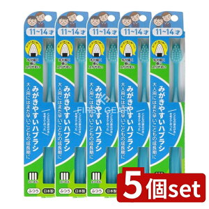 y5Zbgz CtW ݂₷͂Ԃ炵 11~14 LT-40 [Pie/1{] | CtW uV ݂₷nuV ӂ lpTCY wp wp ԎuV qǂ