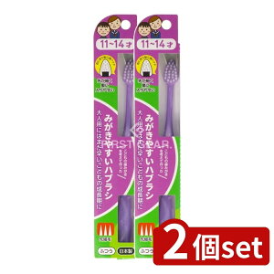 y2Zbgz CtW ݂₷͂Ԃ炵 11~14  LT-41 [Pie/1{] | CtW uV ݂₷   WjA qp w w ɂ^  O