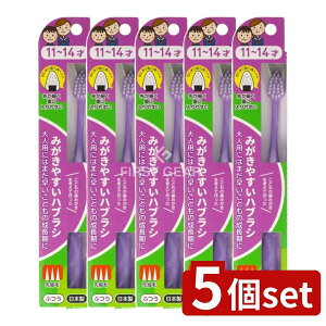 y5Zbgz CtW ݂₷͂Ԃ炵 11~14  LT-41 [Pie/1{] | CtW uV ݂₷   WjA qp w w ɂ^  O