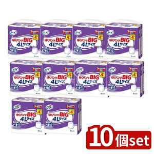 y10Zbgz uhD t ͂pcBIG 4LTCY [Pie/12] | t ނ t lpނ t ͂pc lpނ lpނ pނ 傫l