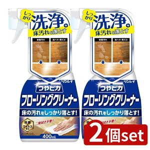 _r[TL^y2Zbgz C sJt[ON[i[ [Pie/400ml] | C t[ON[i[ sJ pN[i[ t[O |pi  