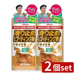 y2Zbgz C ~ߏpR[eBO 15p [Pie/250ml] | C R[eBO ~ t[O bNX    R[eBO R co 