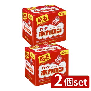 _r[TL^y2Zbgz be zJ\ [Pie/30] | JC zJ \ ĝăJC Mp \^Cv g[pi ̉ێ  ōx ωx g