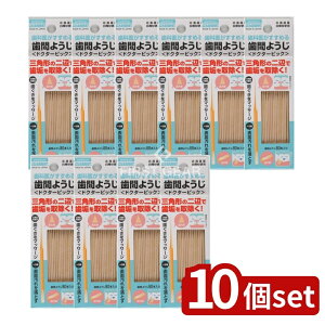 _r[TL^y10Zbgz Lh NAfgԂ悤 [Pie/80{] | Ԃ悤 hN^[sbN Op悤 f^sbN NAfg w悤 I[PA f