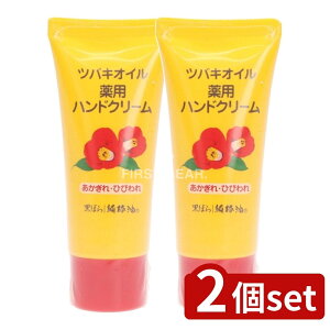 y2Zbgz ΂{ coLICpnhN[ [Pie/35g] | 򕔊Oi nhN[ coLIC ֖ pN[ ێN[ Z~h O``_ q