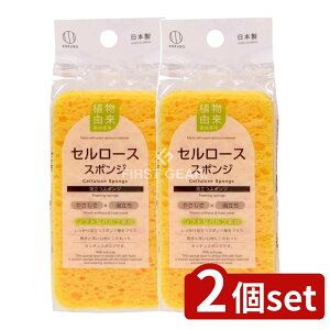 y2Zbgz v Z[XX|W [Pie/1] | Lb`X|W Z[XX|W vۍHƏ H􂢃X|W A@ AX|W {X|W 