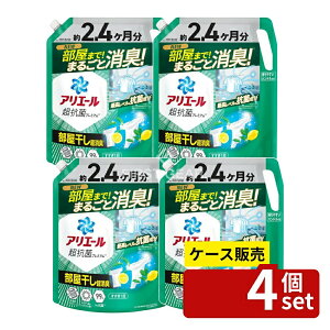 _r[TL^y 4Zbgz P&G AG[WFvX߂EgW{TCY [Pie/1720g] | AG[   EgW{ P&G 