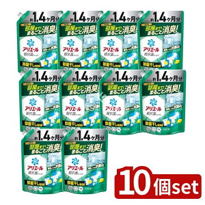 y10Zbgz P&G AG[WFvX߂W{TCY [Pie/1000g] | AG[  t Rۃv~A  V AG[ R v