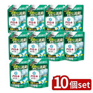 y10Zbgz P&G AG[WFvX߂TCY [Pie/625g] | AG[  WF ōR Rې 1 c^ @ h uܖz 