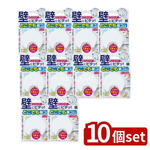 _r[TL^y10Zbgz v ǂłփS [Pie/1] | փSz_[ փS| tbN Lb`[ S^Cv Lb`pi ǂɃs^bI ǂłփS փS