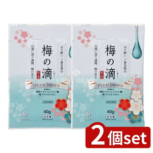 _r[TL^y2Zbgz v ق됌 JC ~̓H [Pie/40g] | Ize  ق됌 ~̓H  JC bNX ێ { ϕi oX\g 